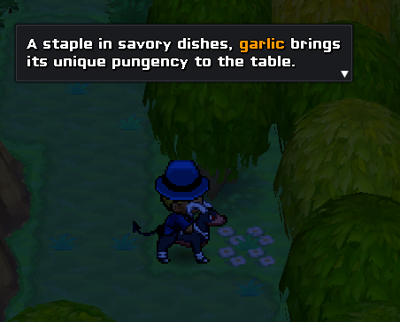 Garlic
