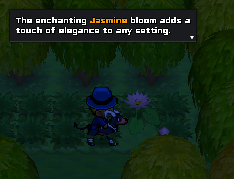 Jasmine