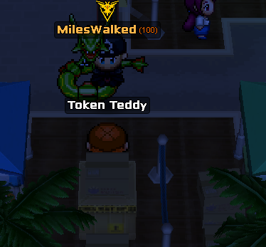 Token Teddy