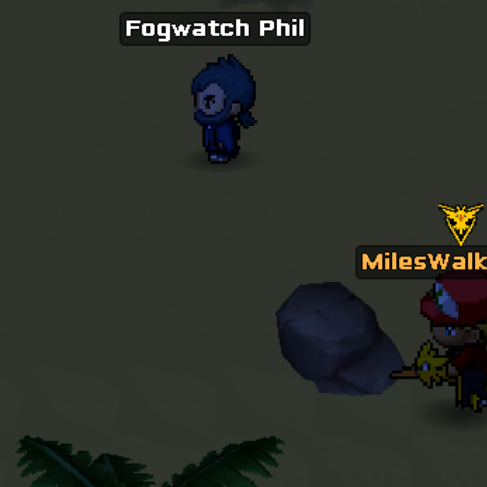 Fogwatch Phil