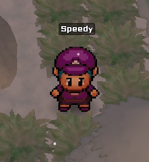 Speedy