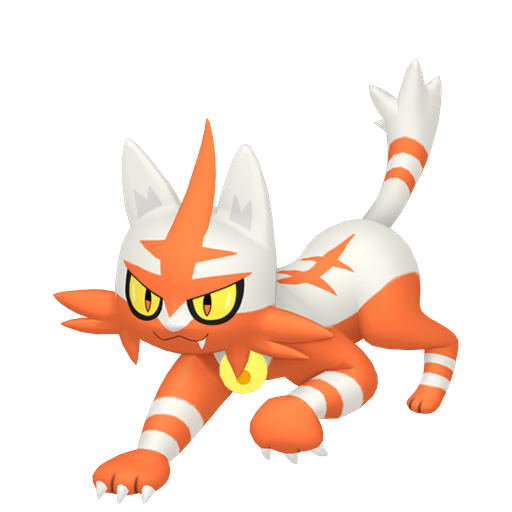 Torracat